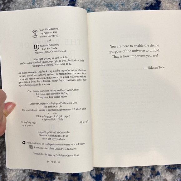 The Power of Now a Guide to Spiritual Enlightenment by Eckart Tolle - Picture 4 of 5